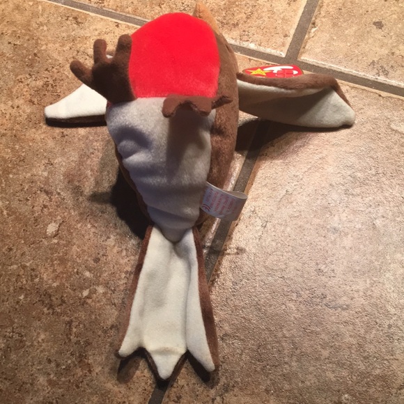 NWT ty Early the Robin - Picture 3 of 5